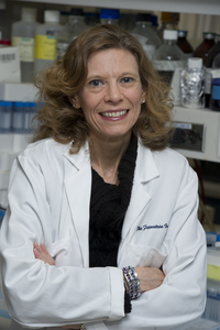 Christine N. Metz, PhD