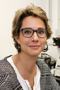 Teresa Giráldez Fernández, PhD